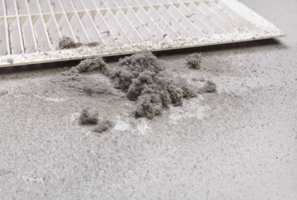Best Air Duct Cleaning Cost  in Courtland, VA