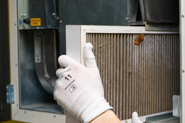 Best Air Duct Mold Removal  in Courtland, VA