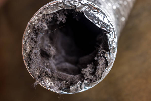 Best Dryer Vent Cleaning Services  in Courtland, VA