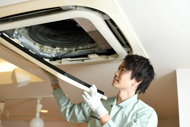 Best Local Air Duct Cleaning Services  in Courtland, VA